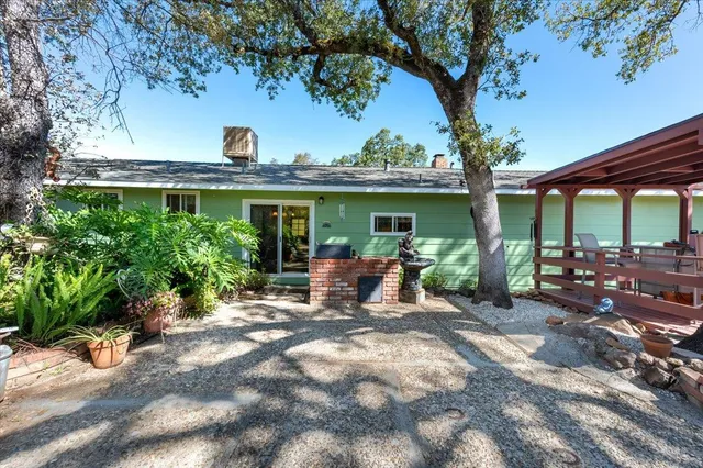a view of dirt yard with a large tree