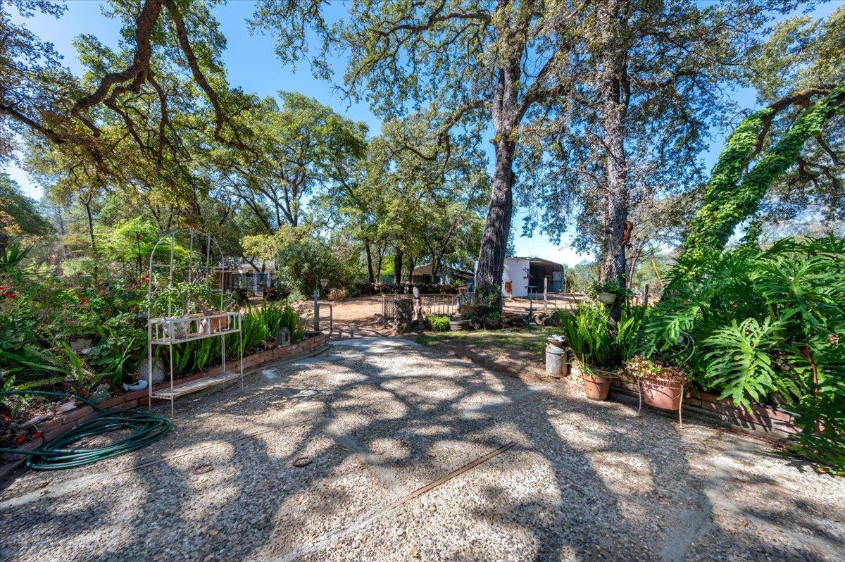 6590 Marysville Road Browns Valley, CA 95918 - Photo 35 of 82