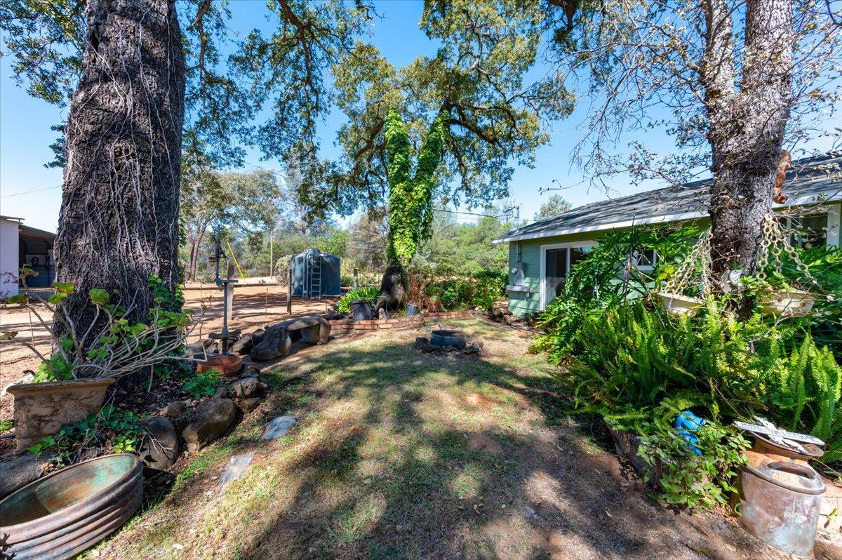 6590 Marysville Road Browns Valley, CA 95918 - Photo 36 of 82