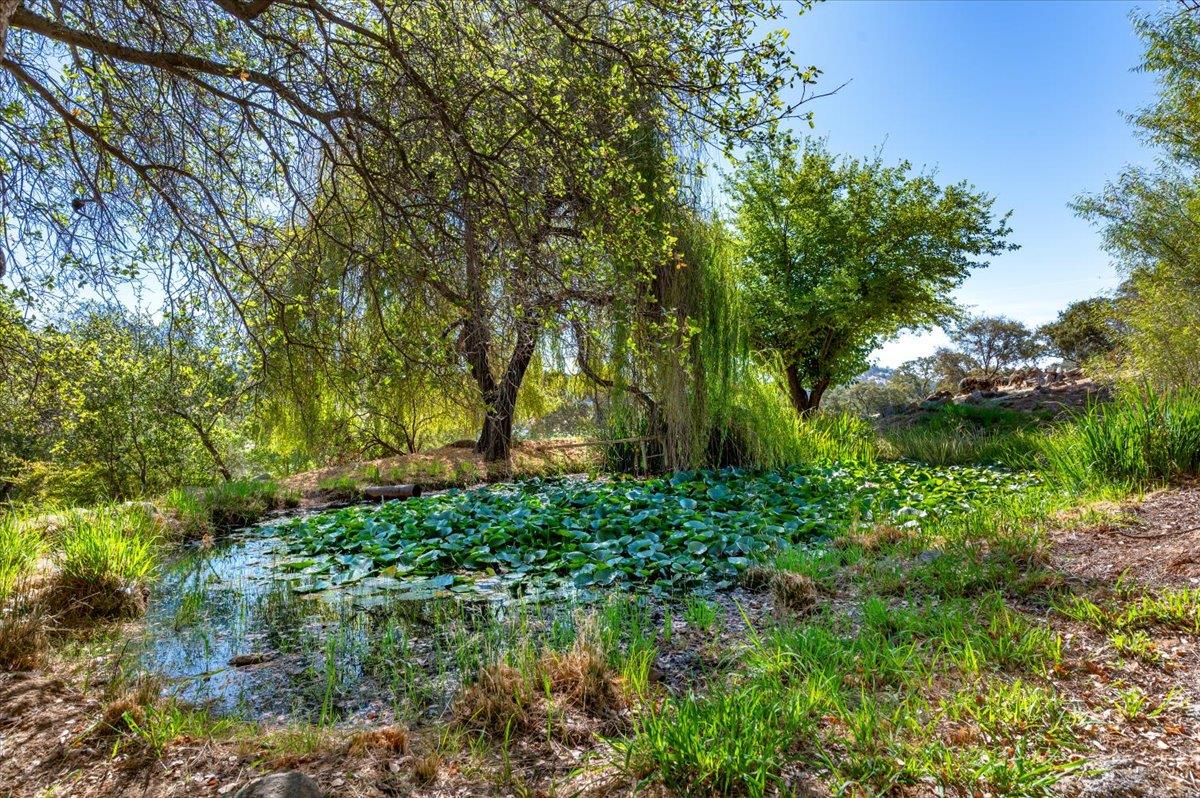 6590 Marysville Road Browns Valley, CA 95918 - Photo 52 of 82