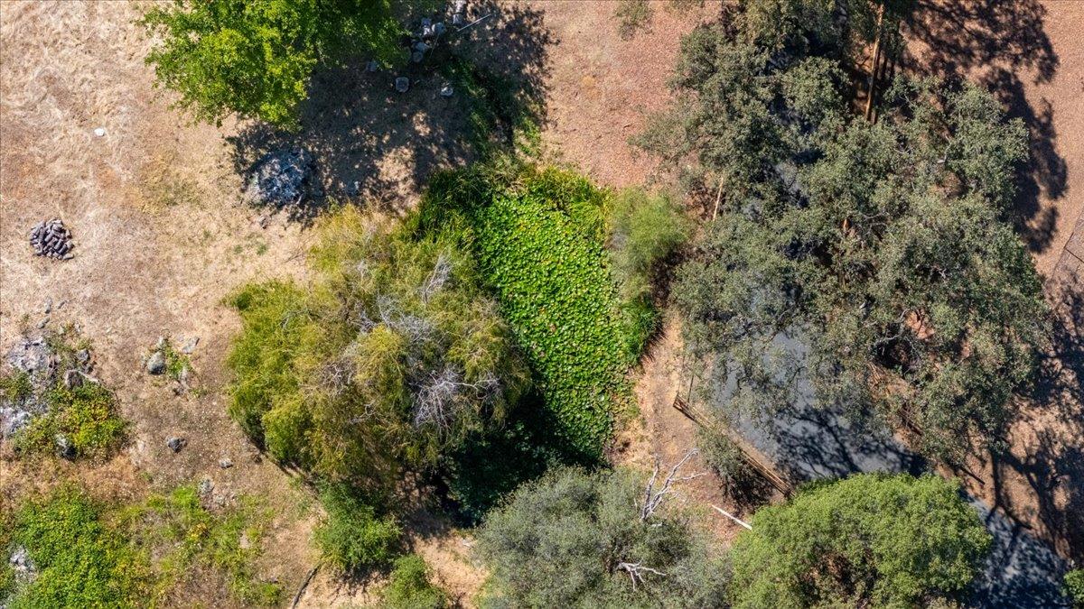 6590 Marysville Road Browns Valley, CA 95918 - Photo 71 of 82