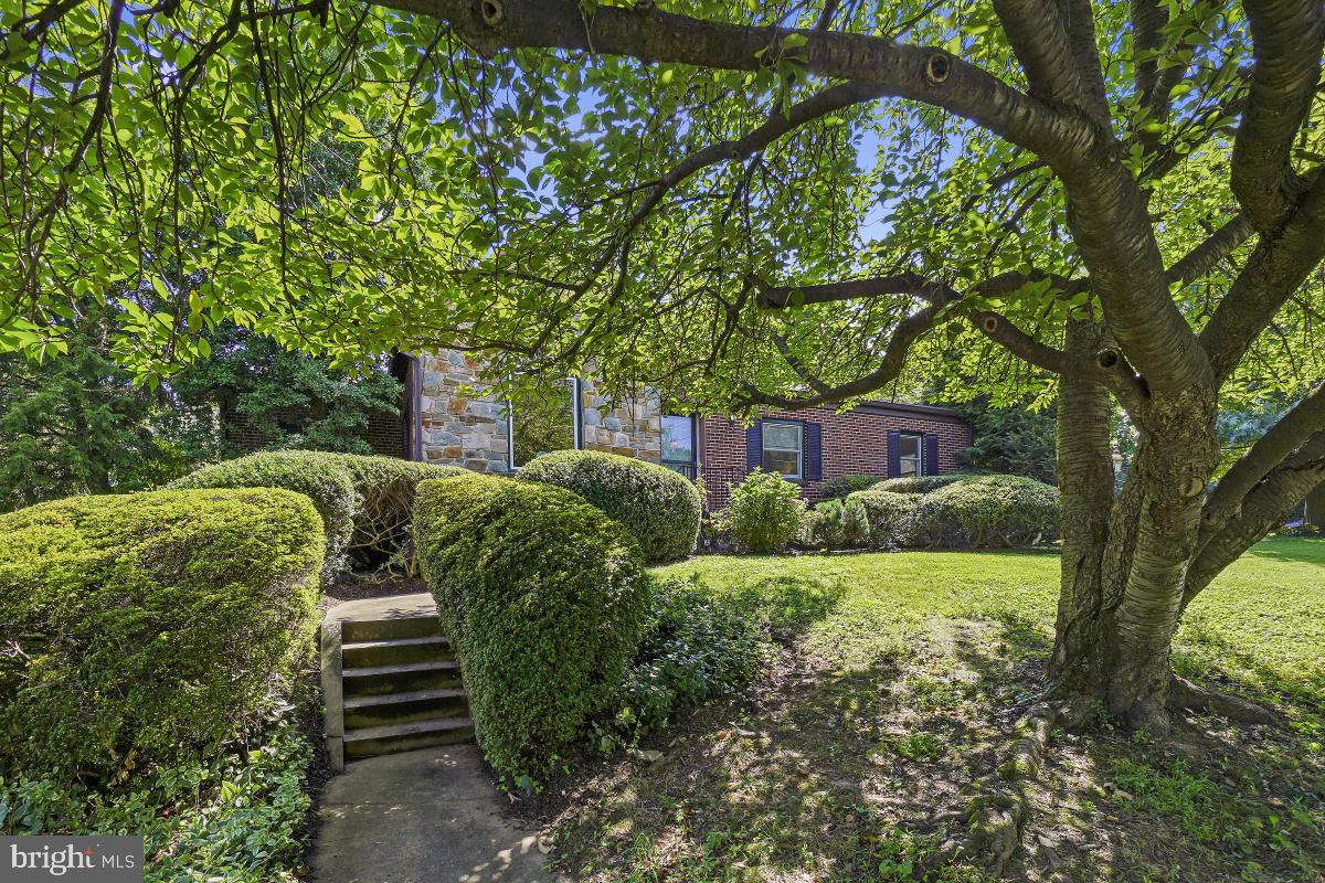 9101 Flower Avenue Silver Spring, MD 20901 - Photo 3 of 44