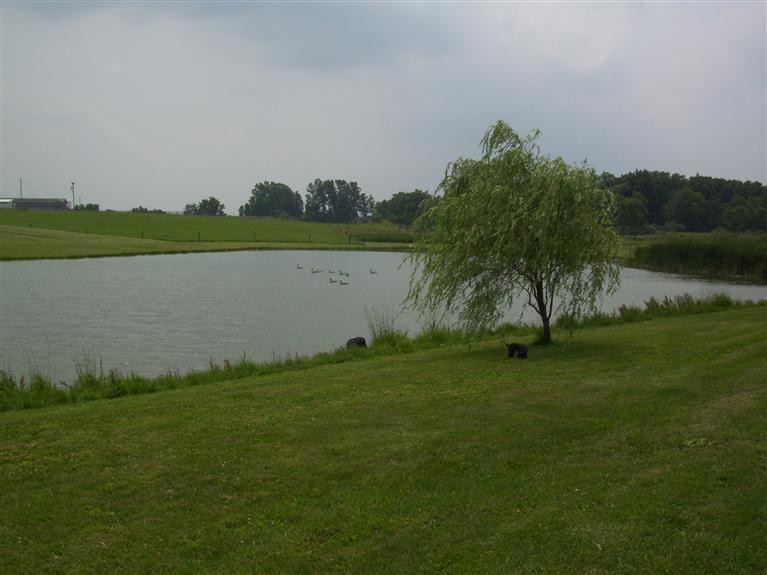 10383 Austin Road Manchester, MI 48158 - Photo 45 of 46 Photo 46