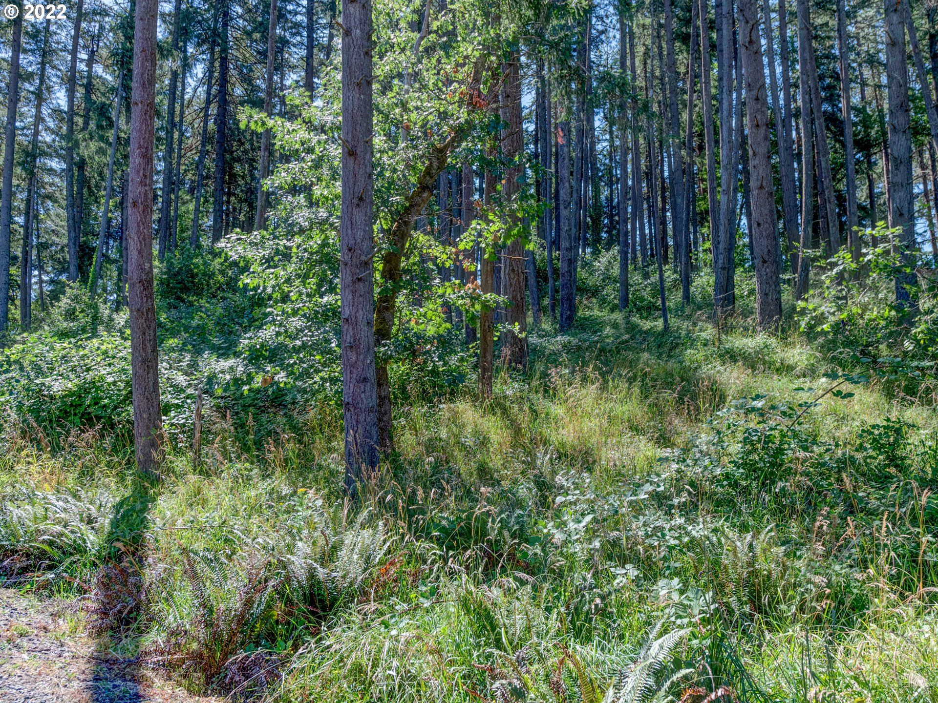 0 Fox Hollow Road, Unit LOT 2 Eugene, OR 97405 - Photo 3 of 12 Gallery Image 3