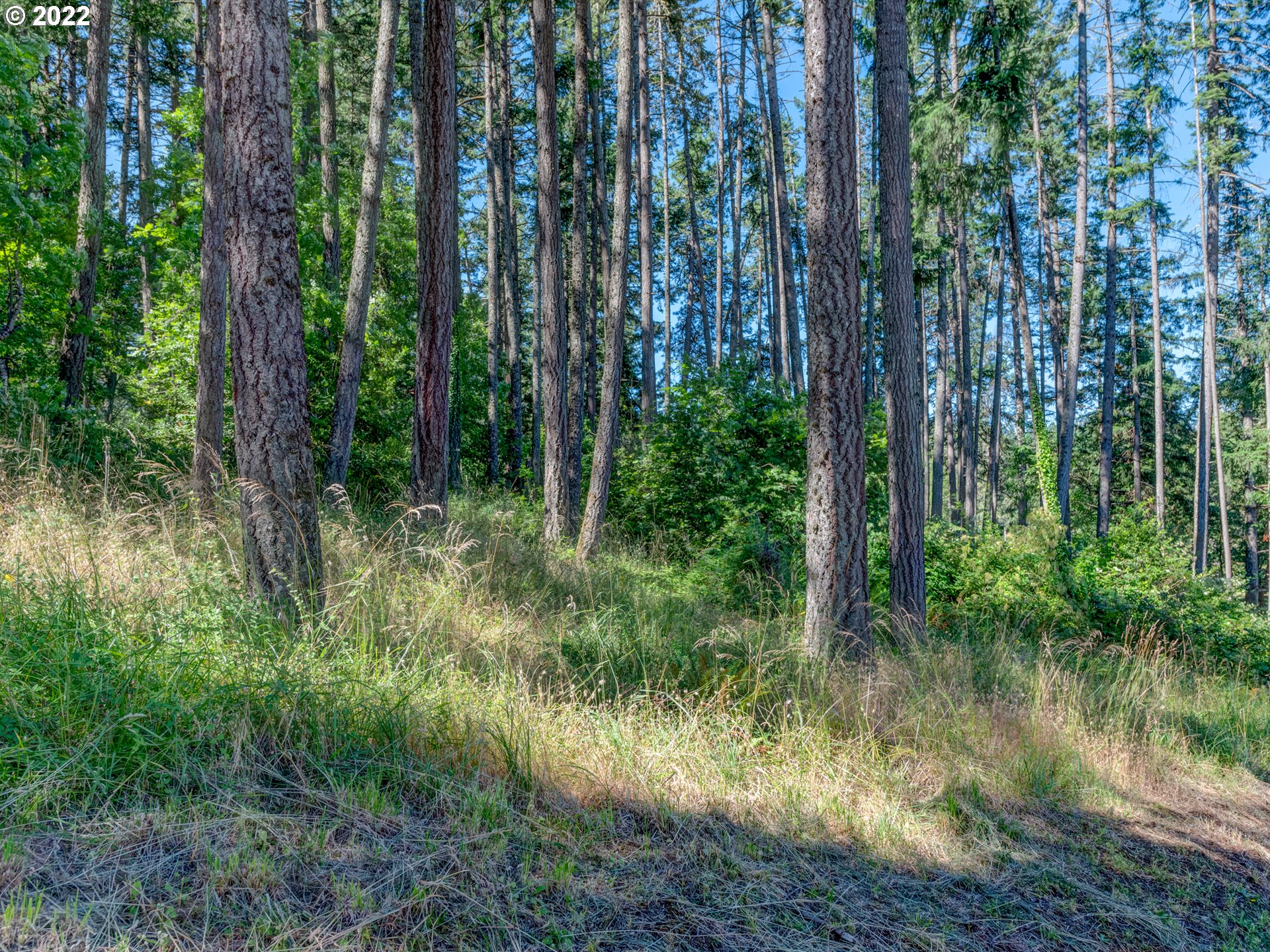 0 Fox Hollow Road, Unit LOT 2 Eugene, OR 97405 - Photo 4 of 12 Gallery Image 4