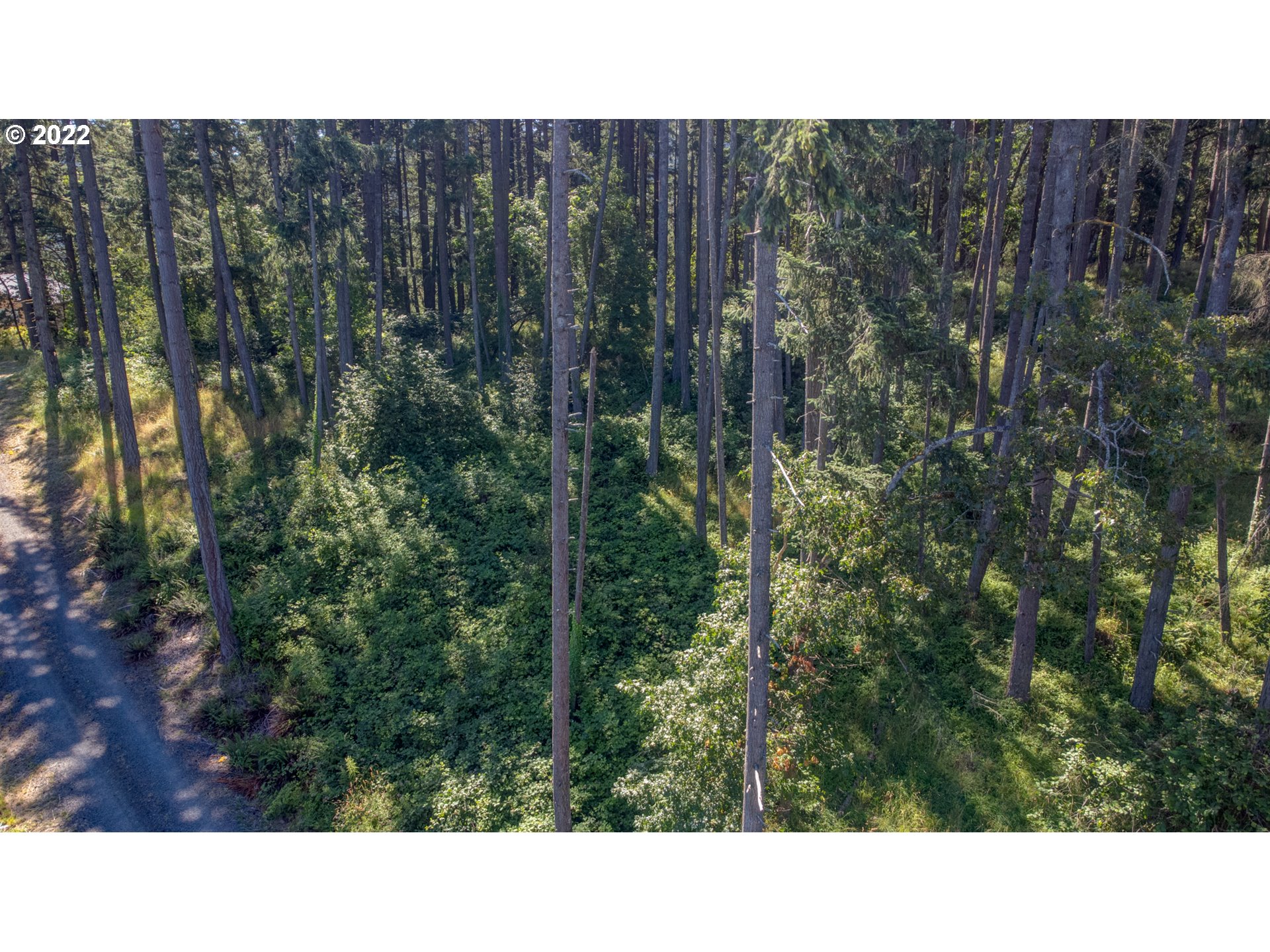 0 Fox Hollow Road, Unit LOT 2 Eugene, OR 97405 - Photo 5 of 12 Gallery Image 5
