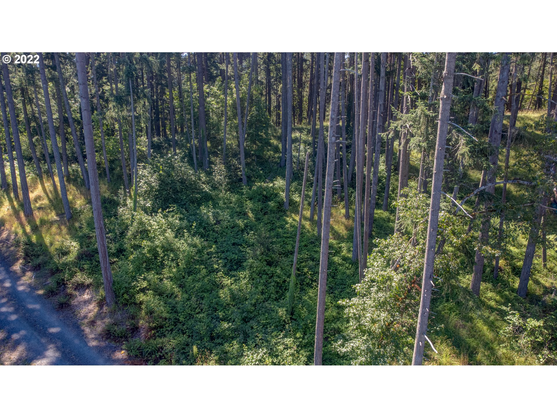 0 Fox Hollow Road, Unit LOT 2 Eugene, OR 97405 - Photo 6 of 12 Gallery Image 6