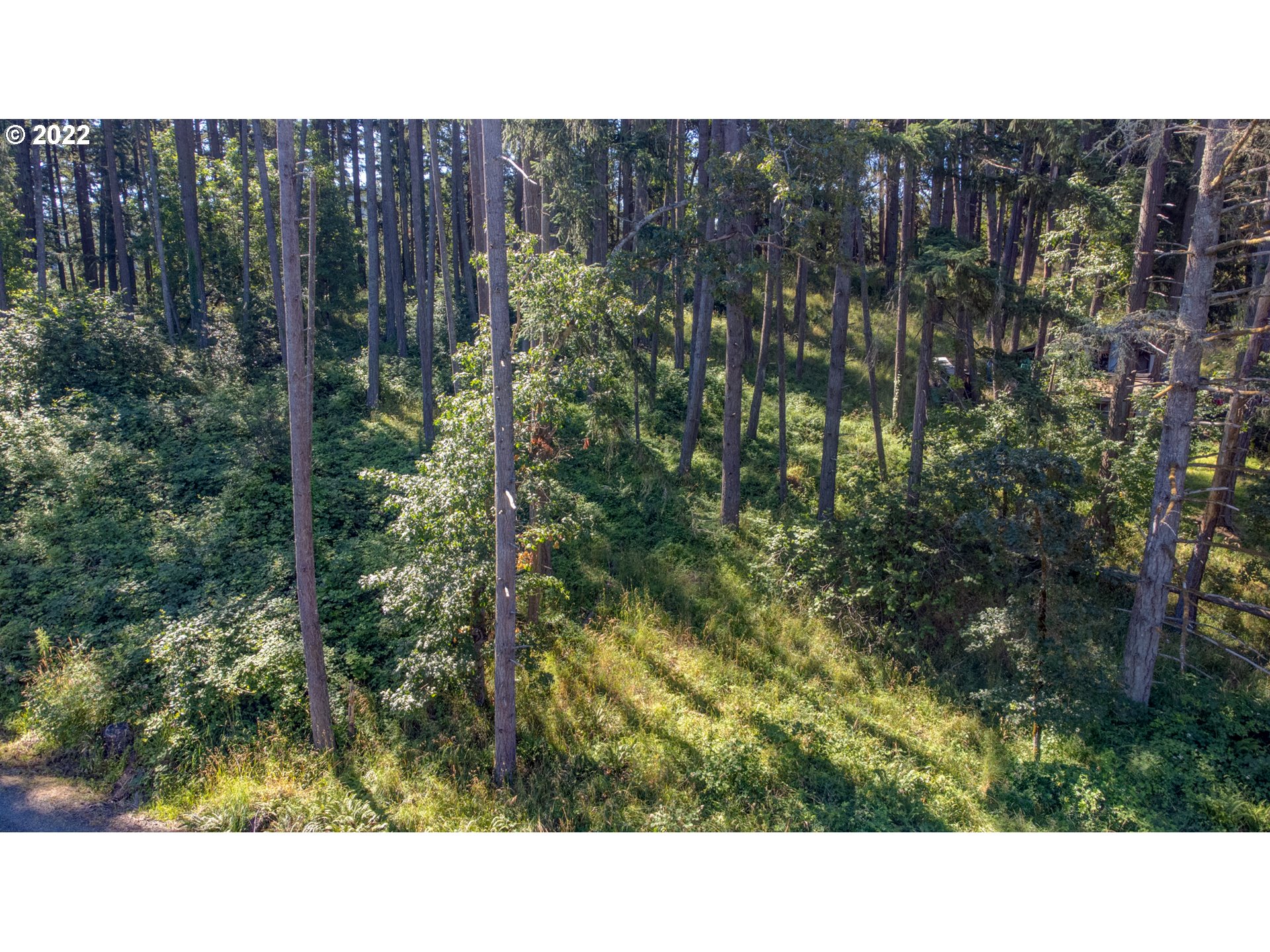 0 Fox Hollow Road, Unit LOT 2 Eugene, OR 97405 - Photo 7 of 12 Gallery Image 7