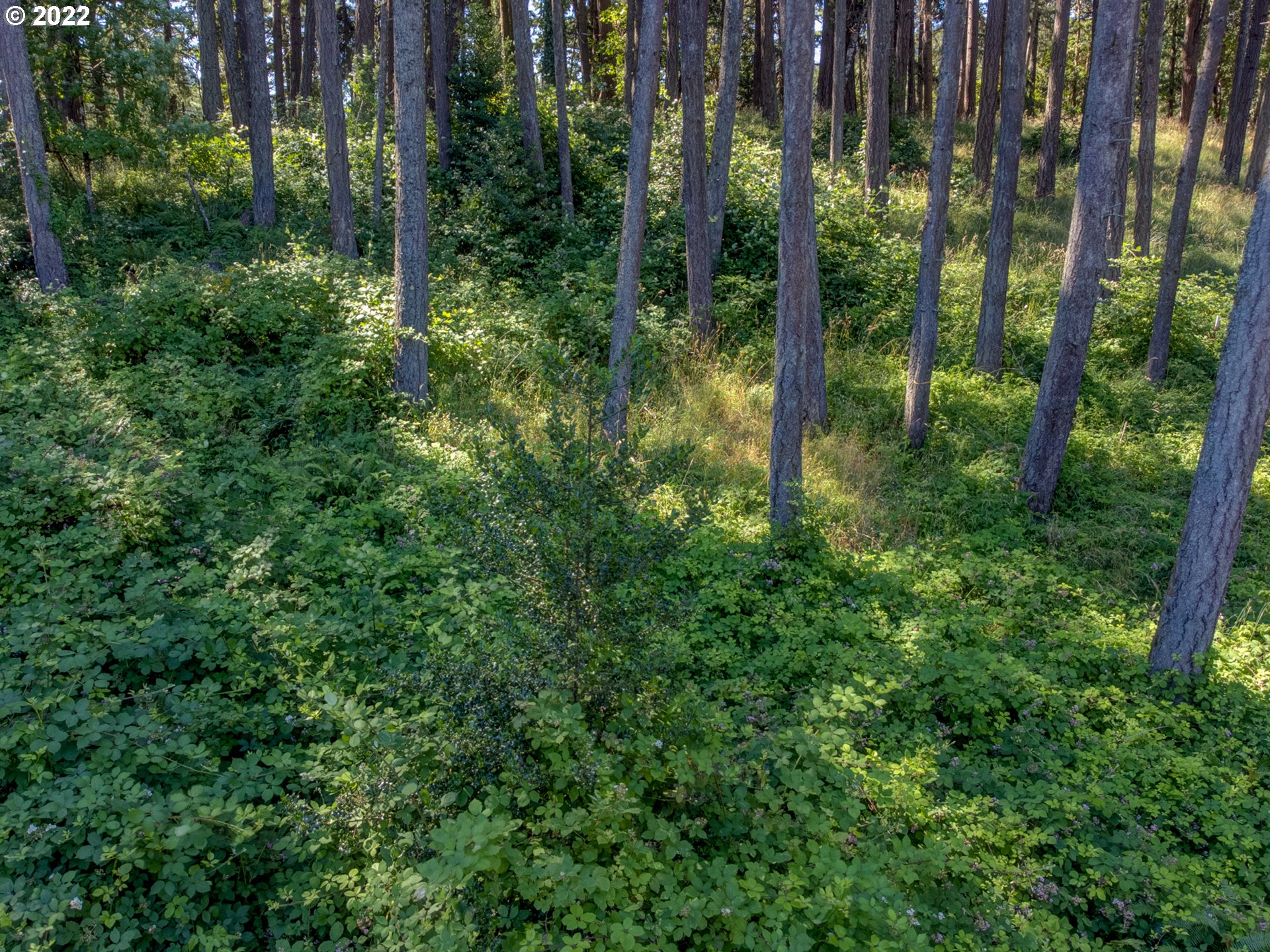 0 Fox Hollow Road, Unit LOT 2 Eugene, OR 97405 - Photo 8 of 12 Gallery Image 8