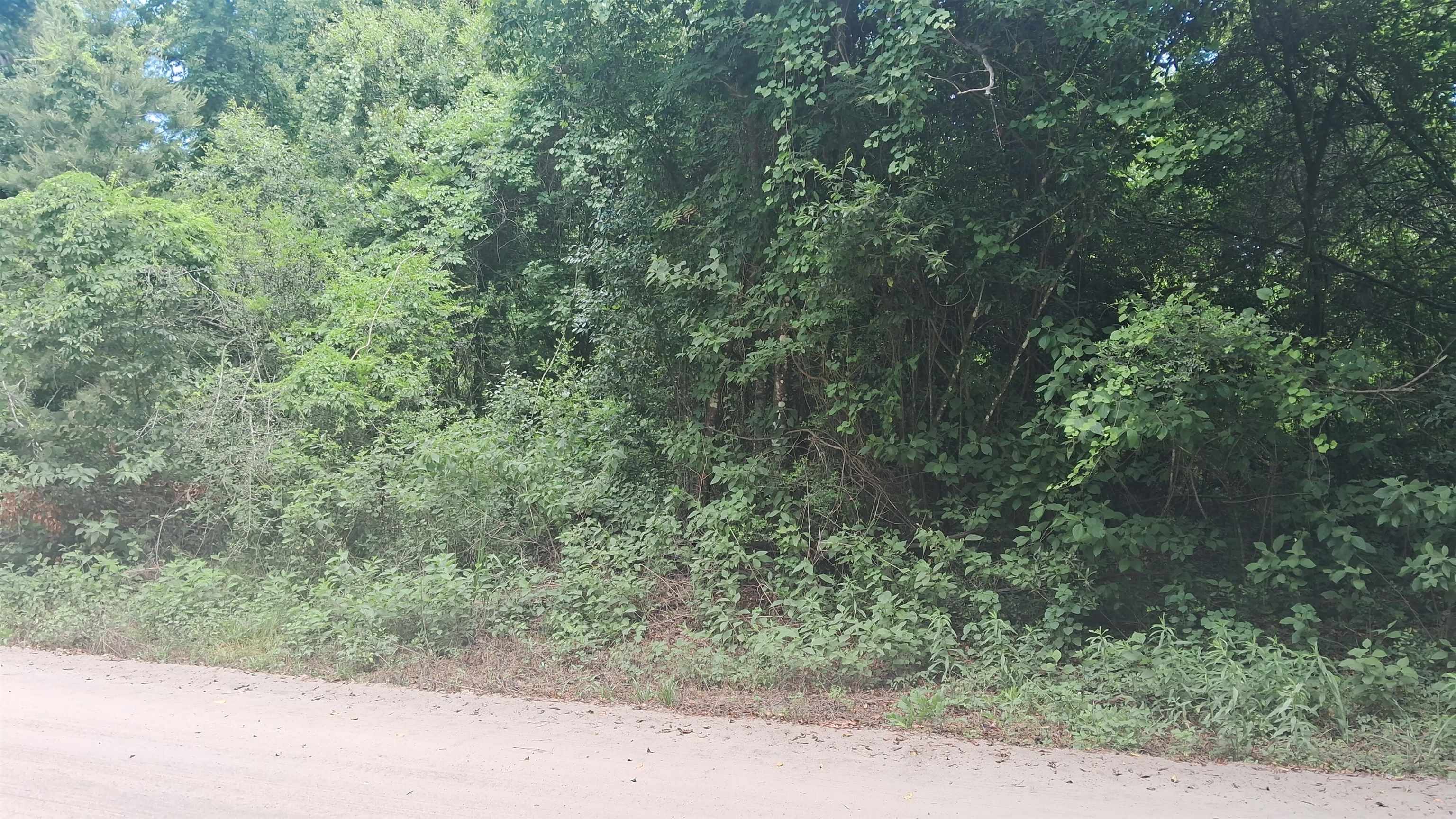 0 Choctaw Road Crawfordville, FL 32327 - Photo 3 of 3