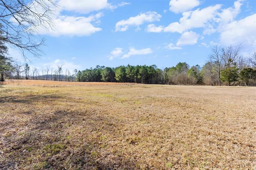 100 South Avery Road Southwest Rome, GA 30165 - Photo 36 of 50 a view of an outdoor space and a yard