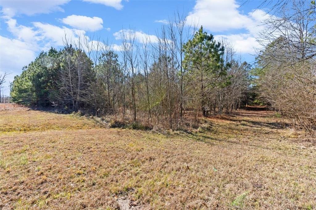 100 South Avery Road Southwest Rome, GA 30165 - Photo 37 of 50 a view of a yard with trees
