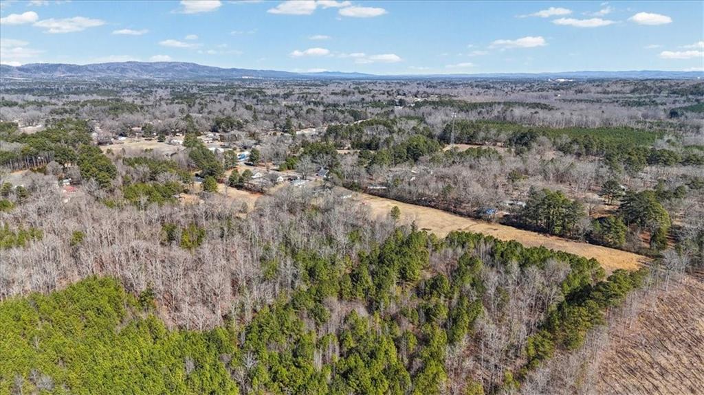 100 South Avery Road Southwest Rome, GA 30165 - Photo 46 of 50 an aerial view of forest