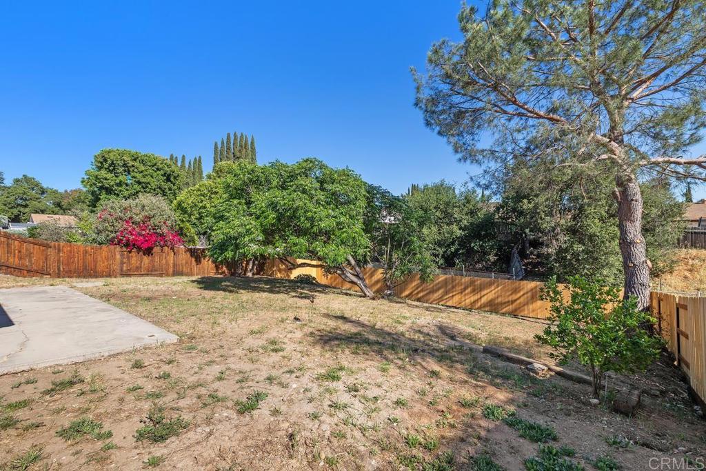 9241 Carita Road Santee, CA 92071 - Photo 18 of 38 Back Yard