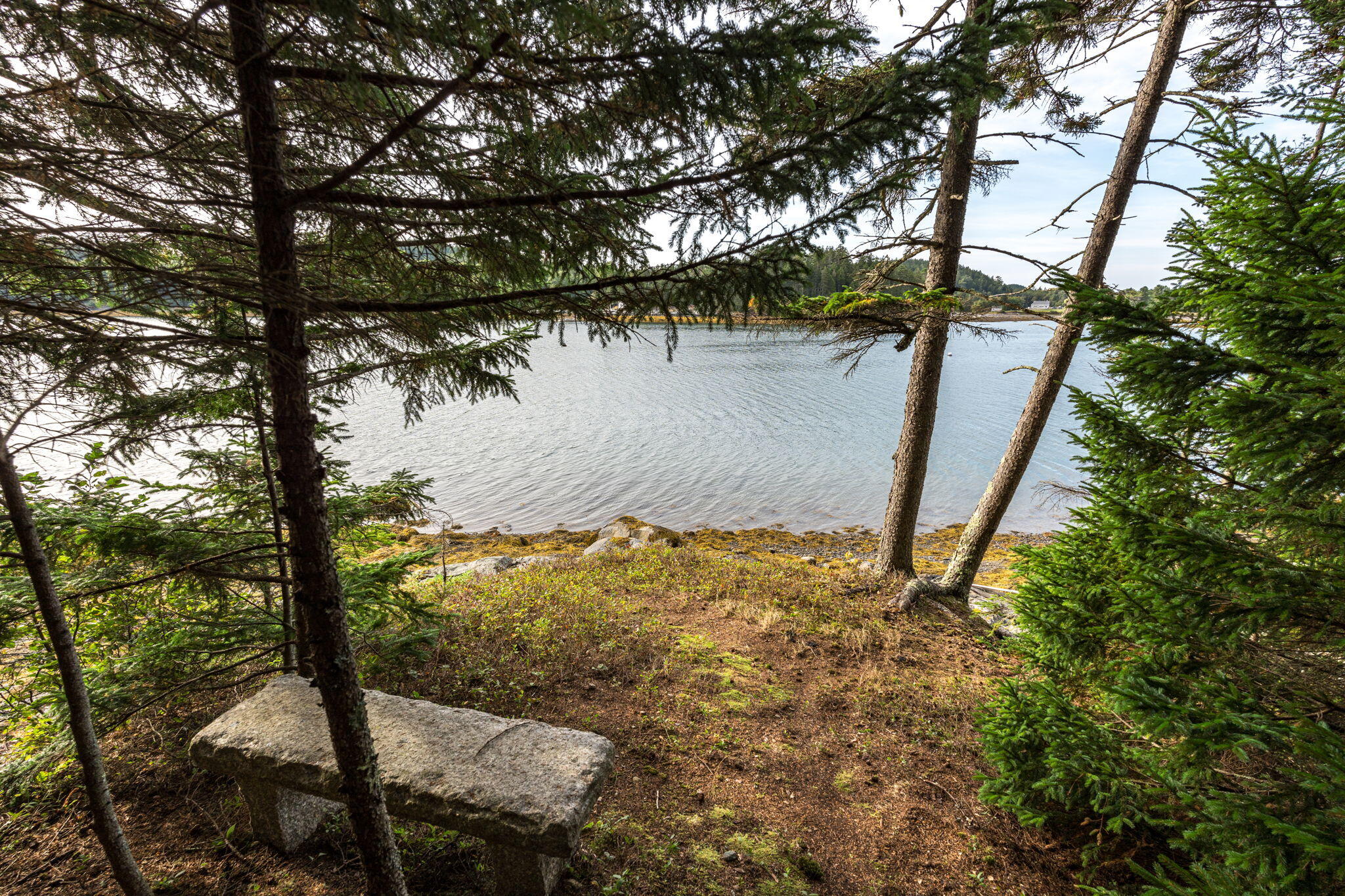 31 Harbor Road Brooksville, ME 04617 - Photo 111 of 126 Sitting Area over Orcutt Harbor