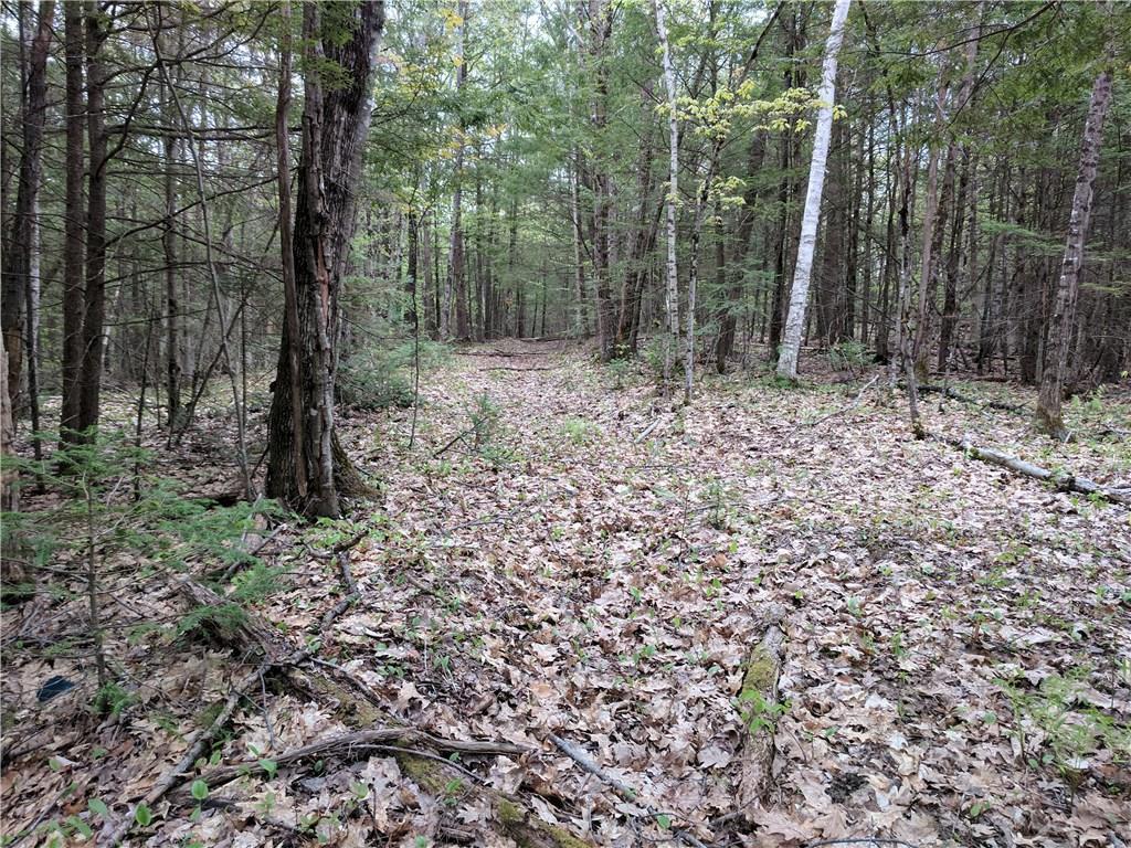 Tbd Peter Vier Road Durham, ME 04222 - Photo 4 of 6 Photo