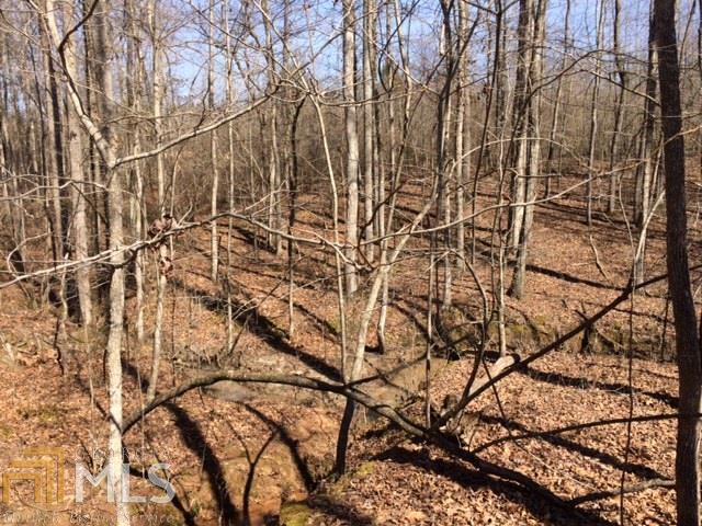 0 Lone Oak Road, Unit TRACT 2 Grantville, GA 30220 - Photo 1 of 1 Gallery Image 1