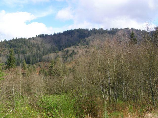 41 Skyview Road Tillamook, OR 97141 - Photo 18 of 33 P3180279