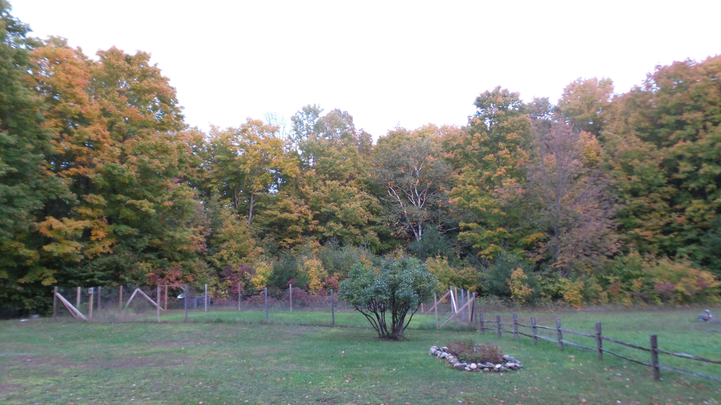 9880 Richardson Road Cheboygan, MI 49721 - Photo 6 of 19 Gallery Image 6