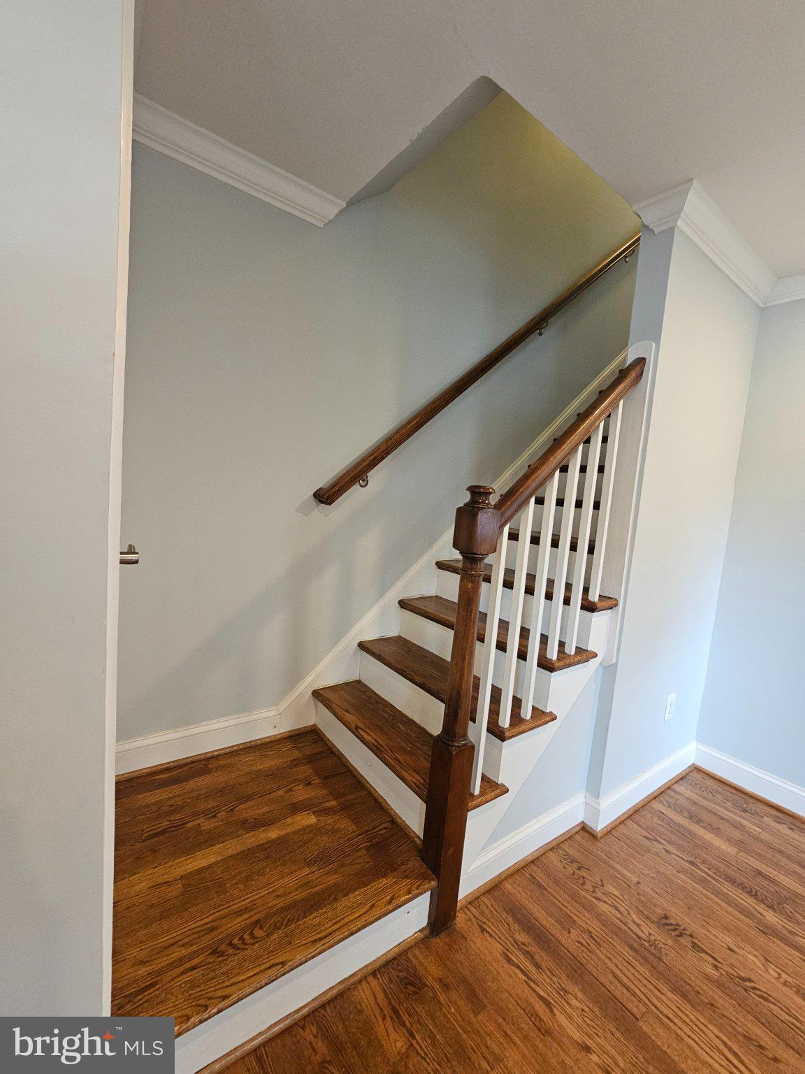 5925 Monticello Road Alexandria, VA 22303 - Photo 23 of 39 Gallery Image 23