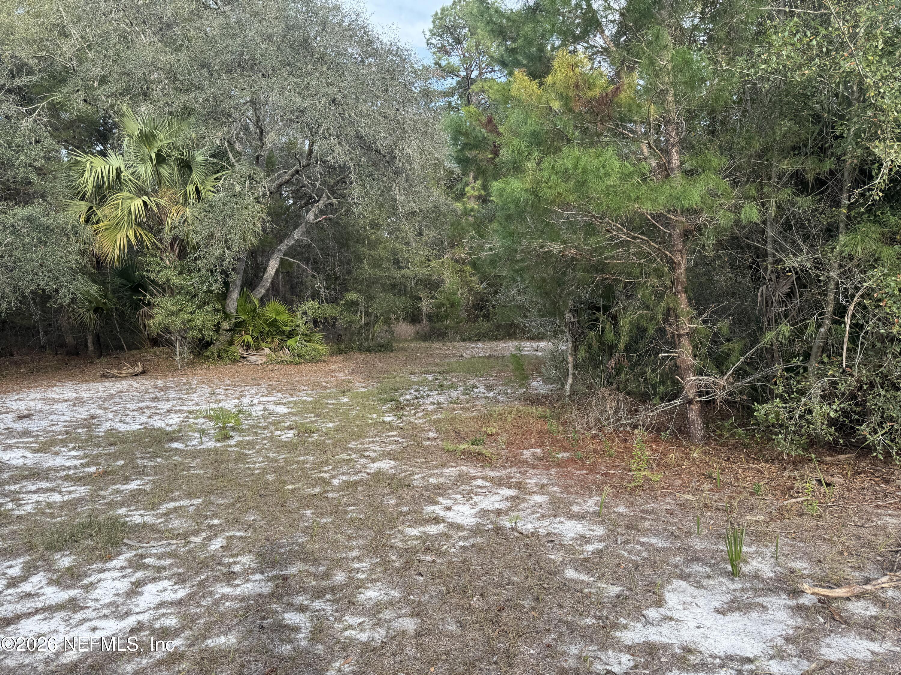 850 Cousintown Road Interlachen, FL 32148 - Photo 23 of 27 a view of backyard with green space