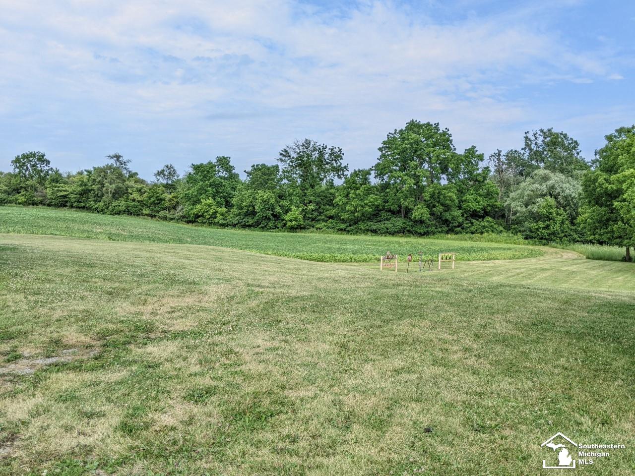 17850 Tecumseh Road Dundee, MI 48131 - Photo 58 of 60