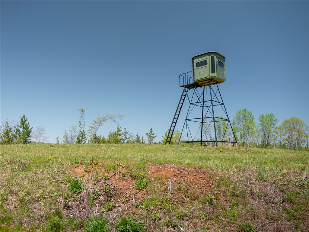 0 Mill Pine Road Central, SC 29630 - Photo 11 of 35