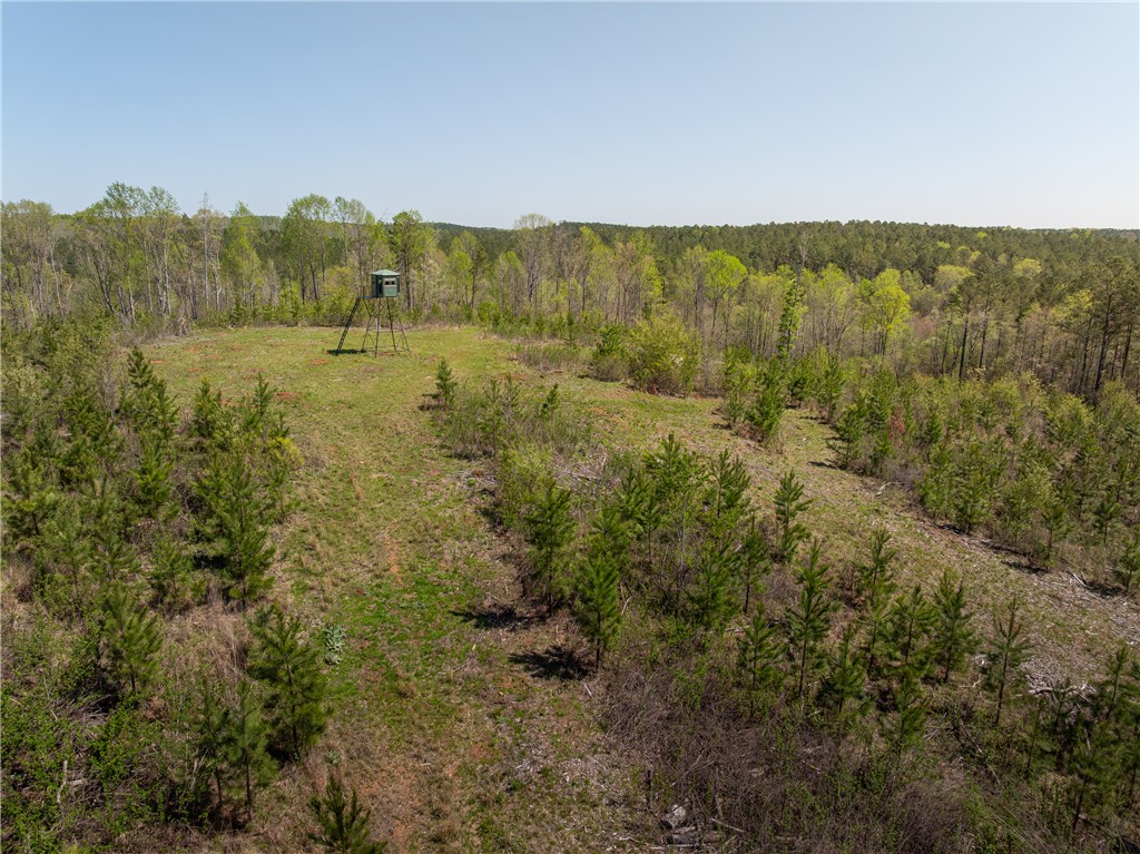 0 Mill Pine Road Central, SC 29630 - Photo 12 of 35
