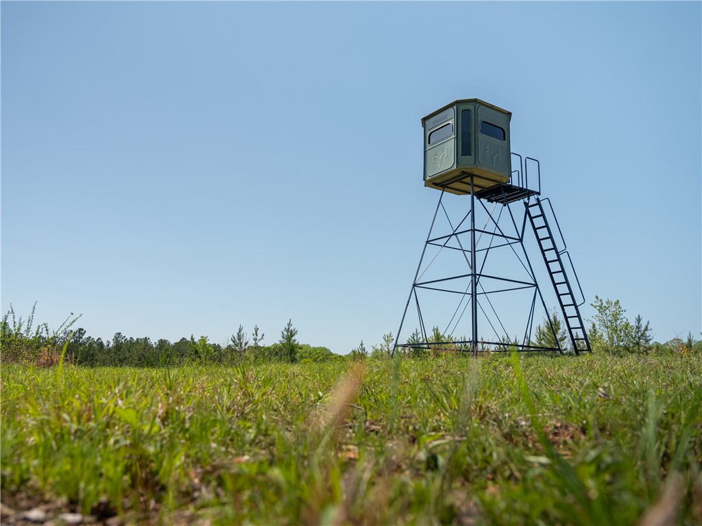0 Mill Pine Road Central, SC 29630 - Photo 13 of 35