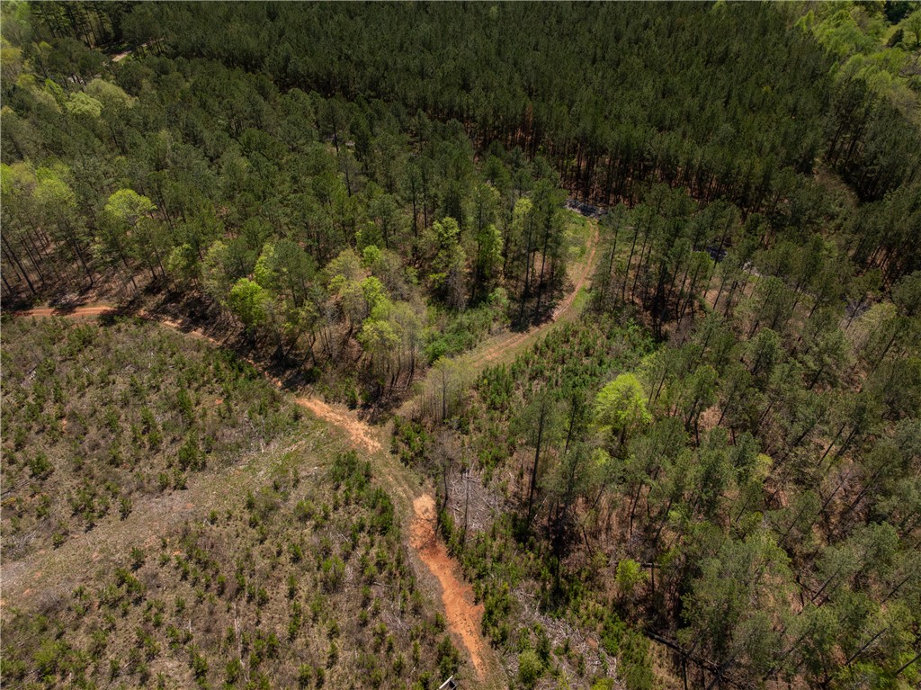 0 Mill Pine Road Central, SC 29630 - Photo 15 of 35