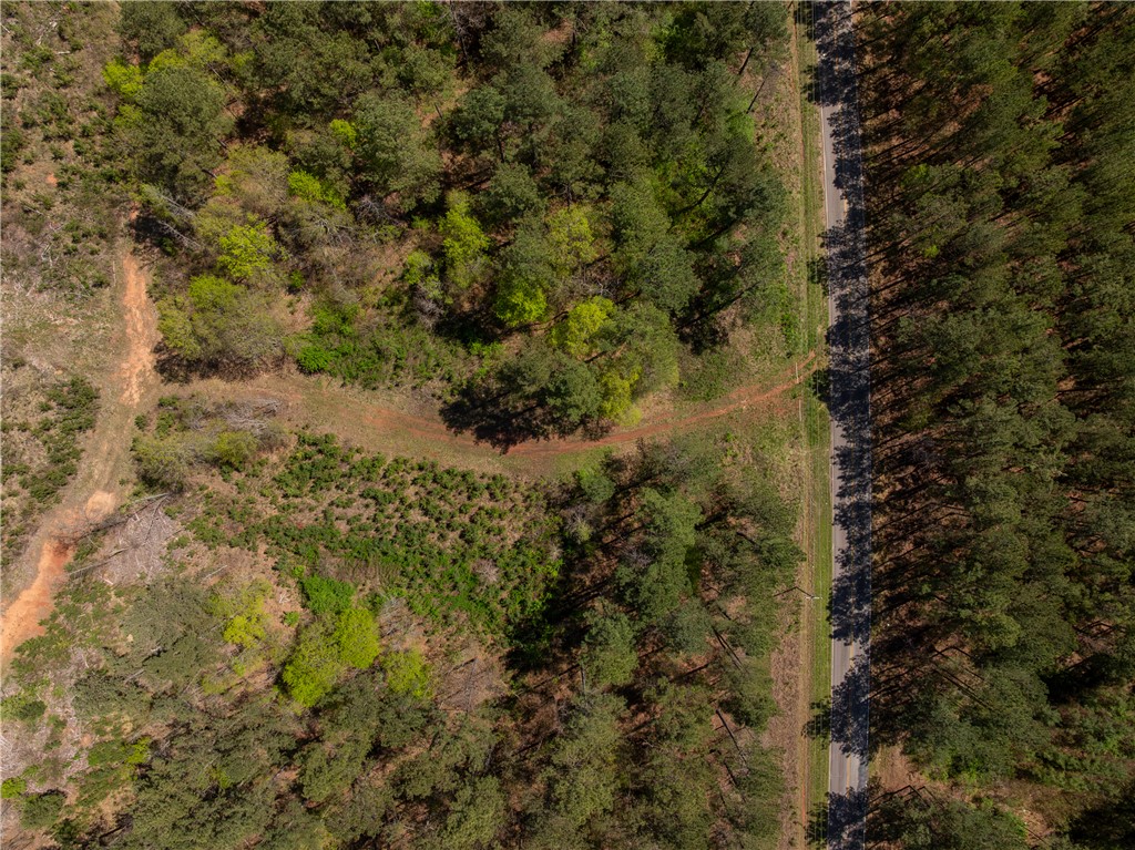 0 Mill Pine Road Central, SC 29630 - Photo 16 of 35