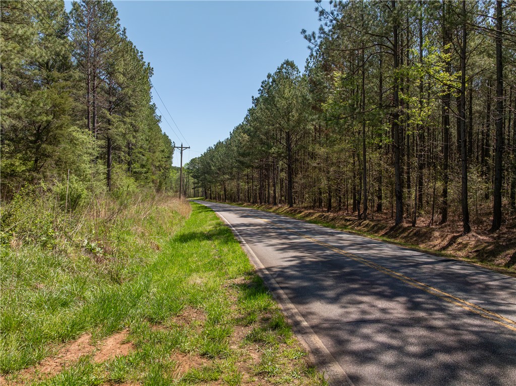 0 Mill Pine Road Central, SC 29630 - Photo 17 of 35