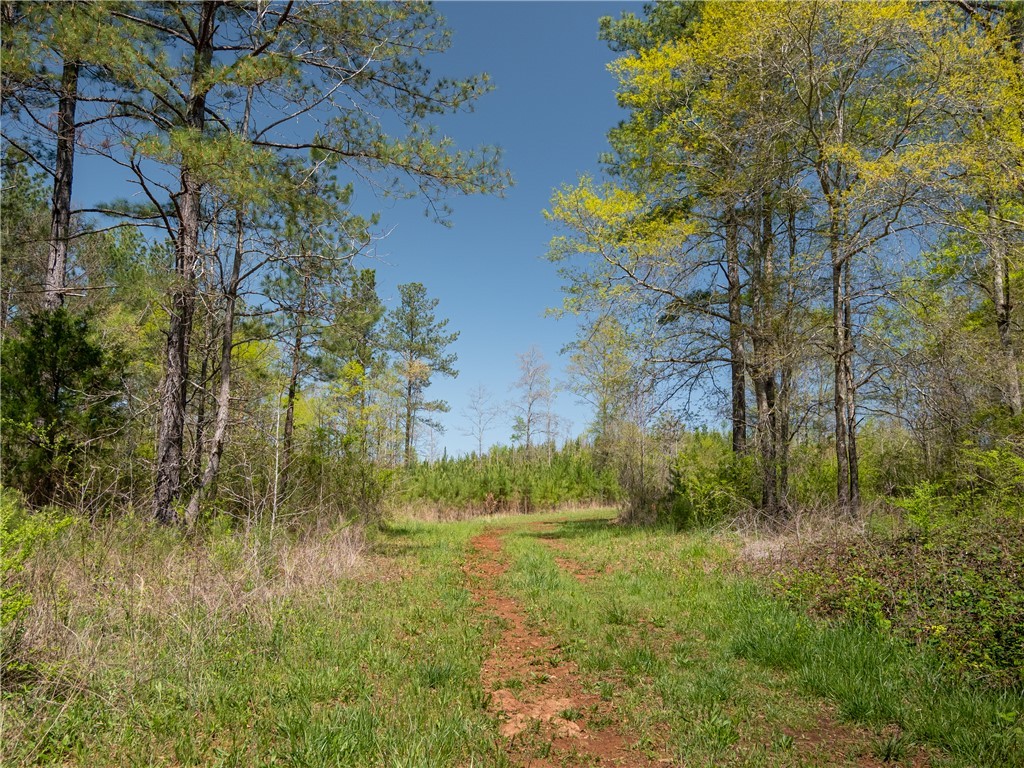 0 Mill Pine Road Central, SC 29630 - Photo 19 of 35