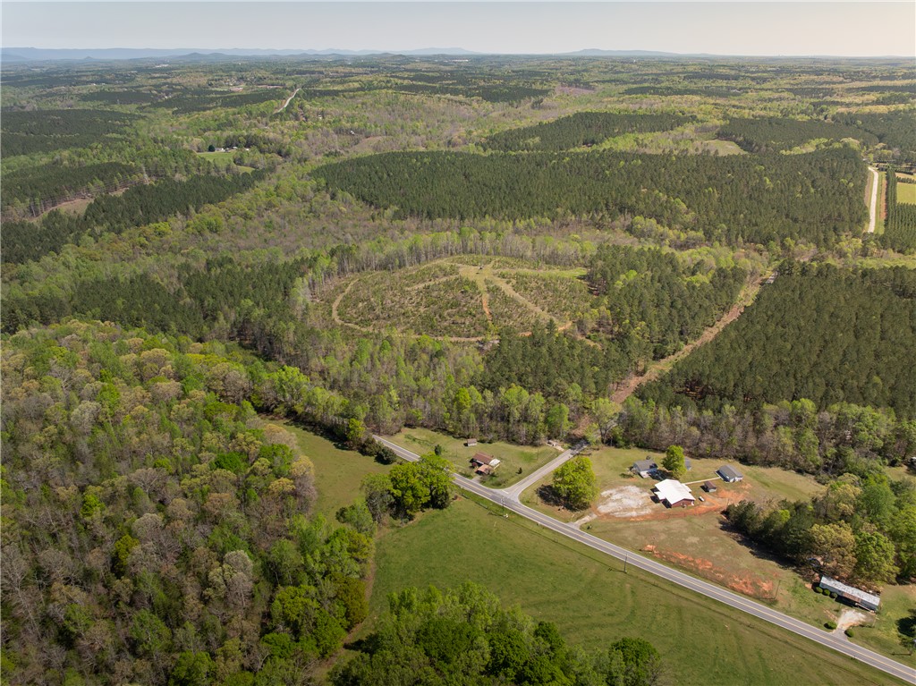 0 Mill Pine Road Central, SC 29630 - Photo 2 of 35