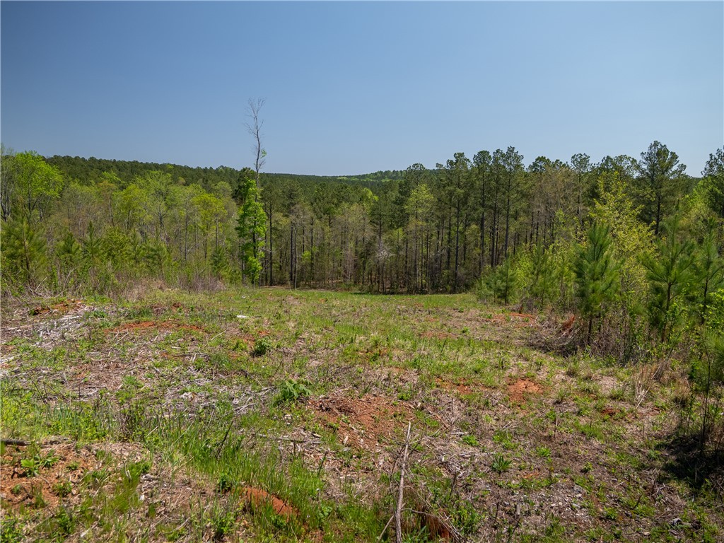 0 Mill Pine Road Central, SC 29630 - Photo 23 of 35