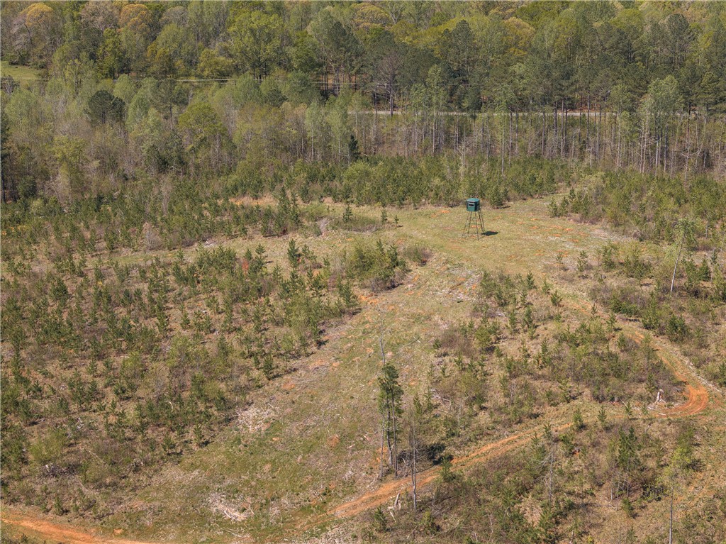 0 Mill Pine Road Central, SC 29630 - Photo 24 of 35