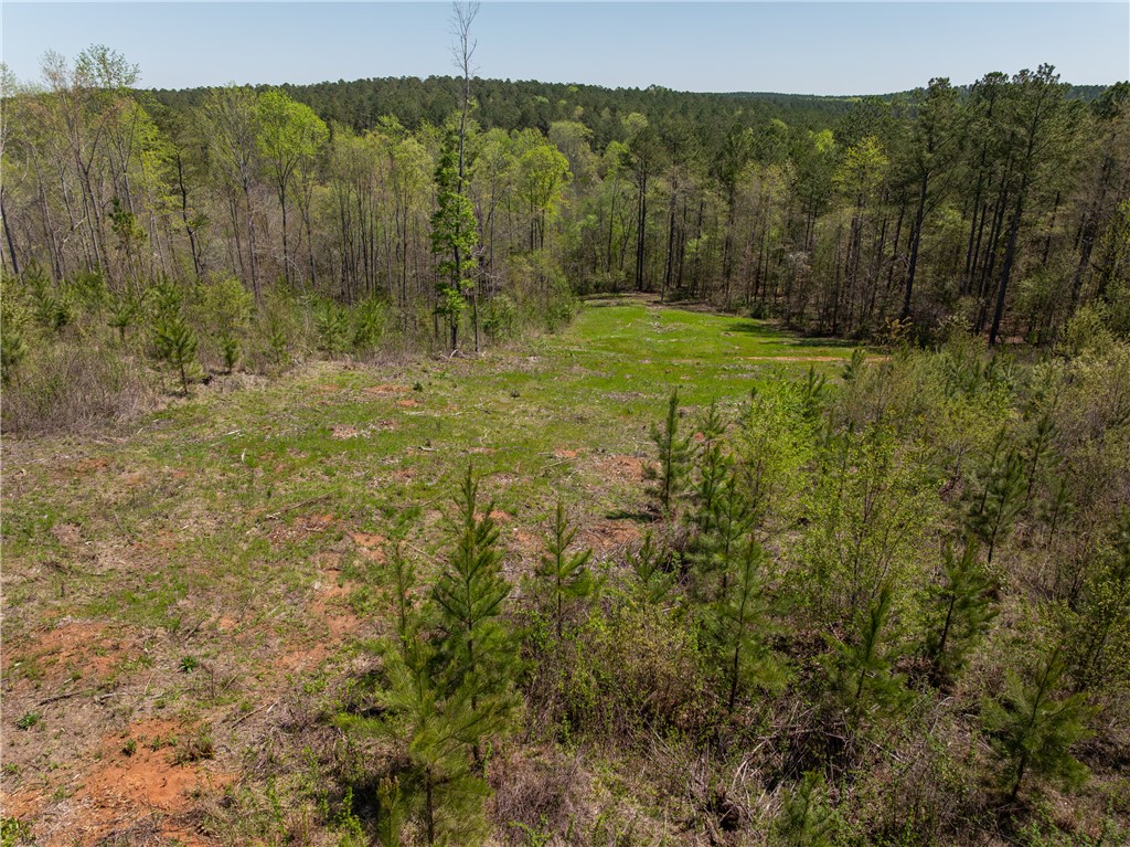 0 Mill Pine Road Central, SC 29630 - Photo 26 of 35