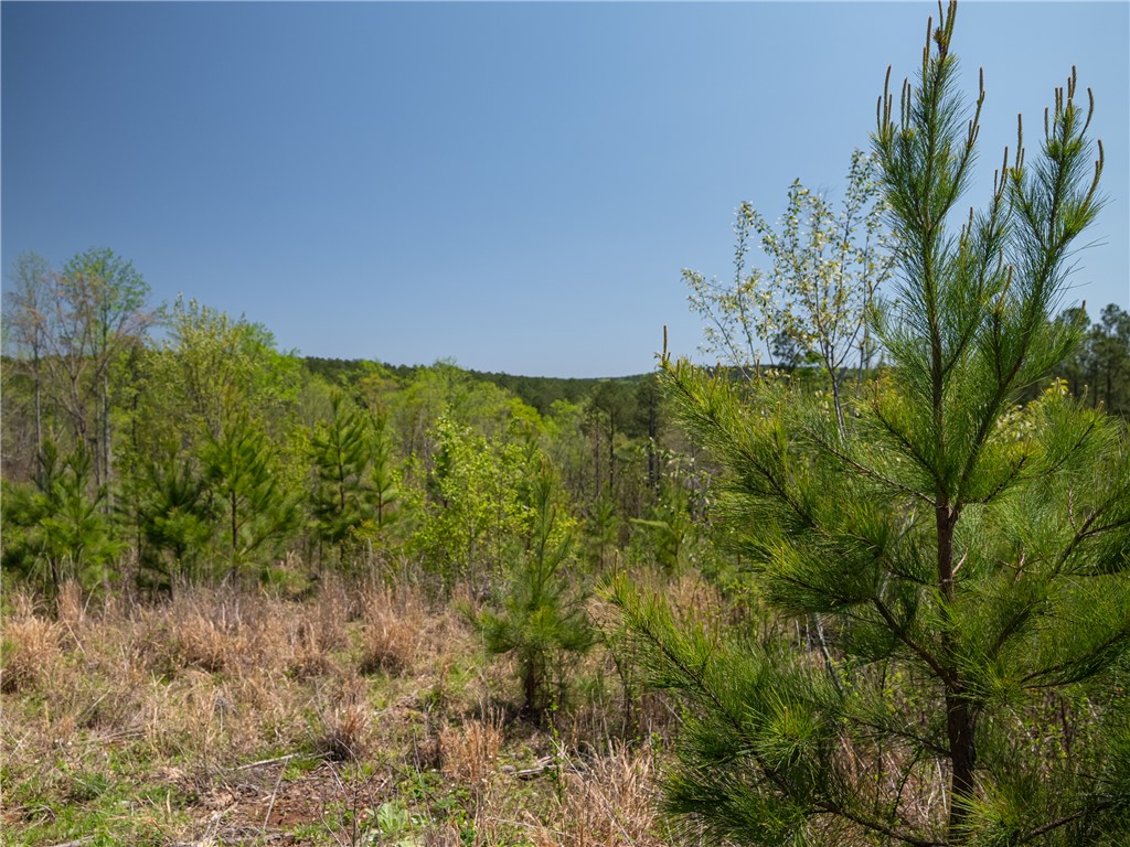 0 Mill Pine Road Central, SC 29630 - Photo 28 of 35