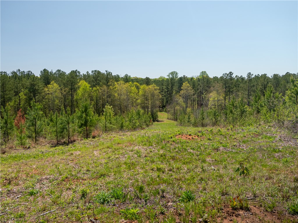 0 Mill Pine Road Central, SC 29630 - Photo 30 of 35