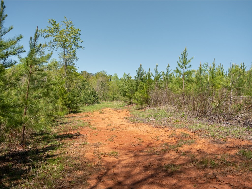 0 Mill Pine Road Central, SC 29630 - Photo 32 of 35