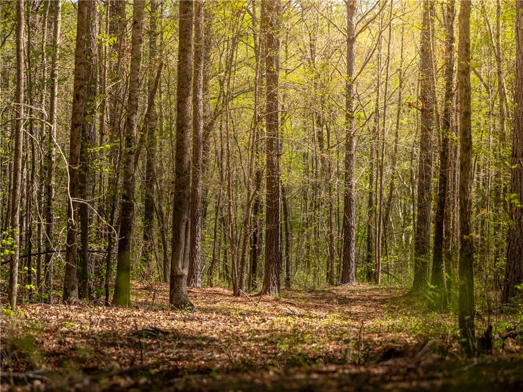 0 Mill Pine Road Central, SC 29630 - Photo 33 of 35