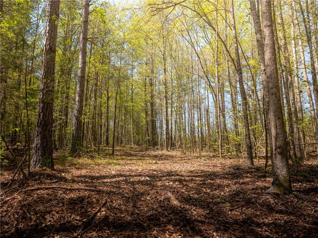 0 Mill Pine Road Central, SC 29630 - Photo 34 of 35