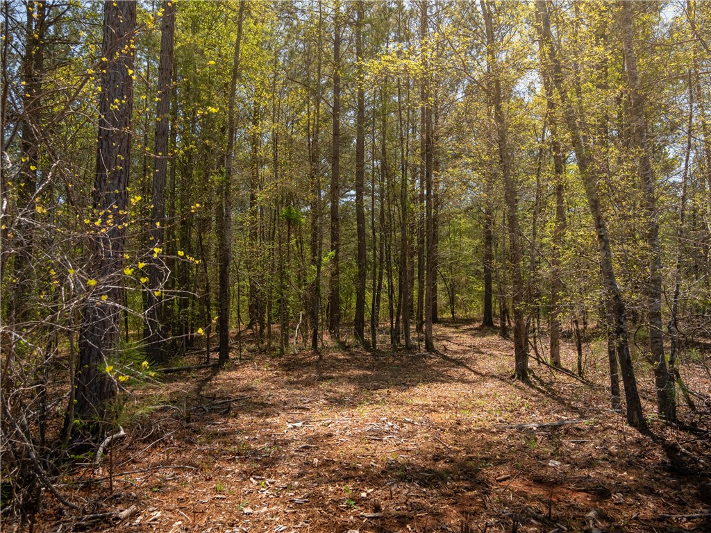 0 Mill Pine Road Central, SC 29630 - Photo 35 of 35