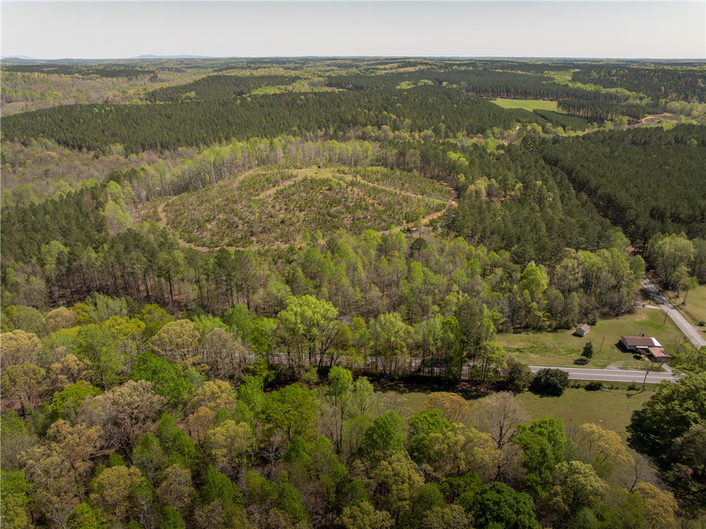 0 Mill Pine Road Central, SC 29630 - Photo 4 of 35