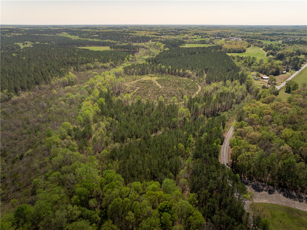 0 Mill Pine Road Central, SC 29630 - Photo 5 of 35