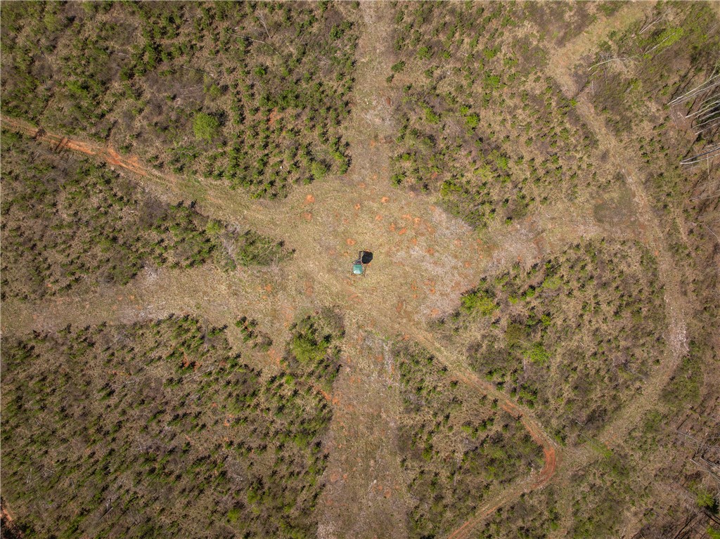 0 Mill Pine Road Central, SC 29630 - Photo 6 of 35