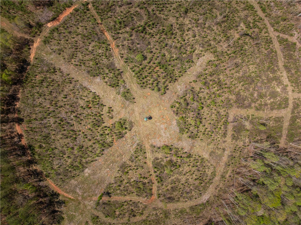 0 Mill Pine Road Central, SC 29630 - Photo 8 of 35