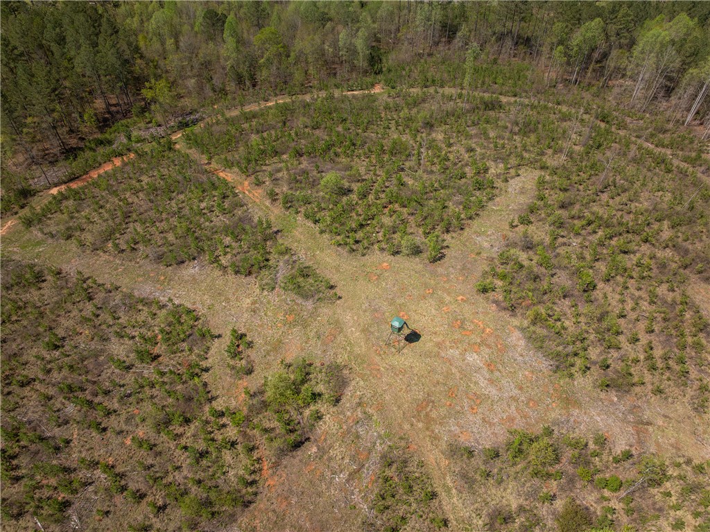 0 Mill Pine Road Central, SC 29630 - Photo 9 of 35