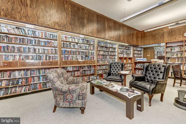 a view of a garden with flowers