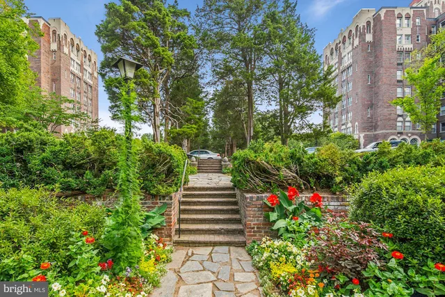 a view of a back yard with a patio